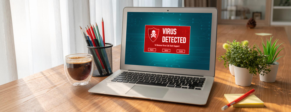 Introduction: The Vilsa Stealer Malware